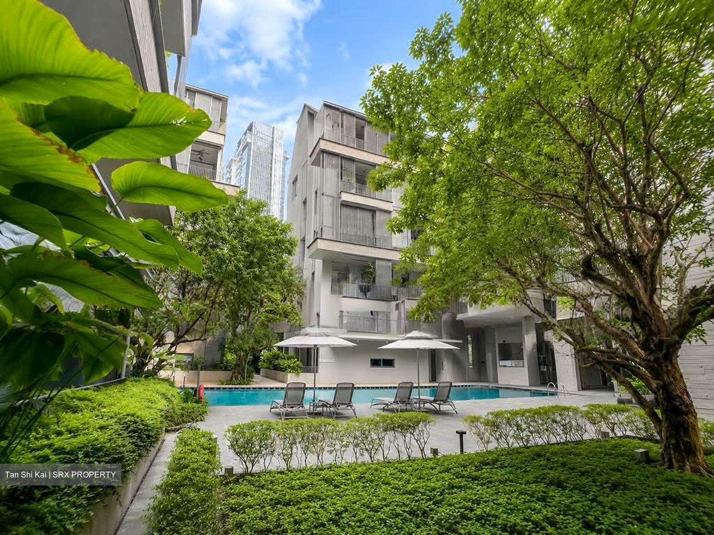 10 Evelyn (D11), Apartment #581305301